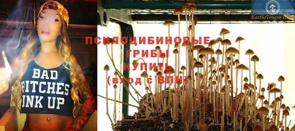 дмт Армянск
