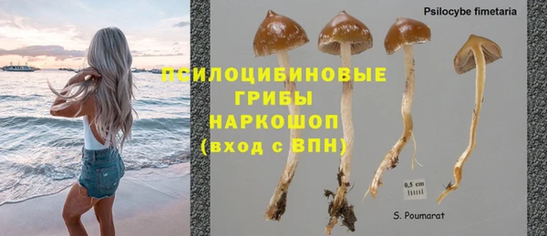 дмт Армянск